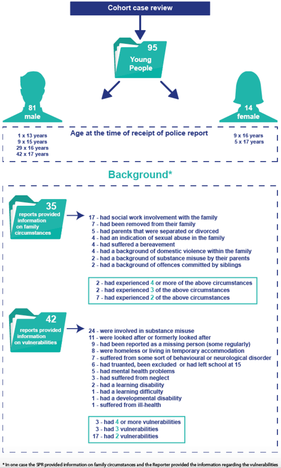 Cohort case review which contains 95 young people. 81 individuals in the cohort were male with 1 individual aged 13 years, 9 individuals aged 15 years, 29 individuals aged 16 years and 42 individuals aged 17 years. 14 individuals in the cohort were female with 9 individuals were aged 16 years and 5 individuals were aged 17 years. The backgrounds of the 95 young people are listed in the graphic and also listed in the box below.